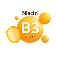 Niacinamide (Vitamin B3) ส่วนผสมใน Revita Youth Serum